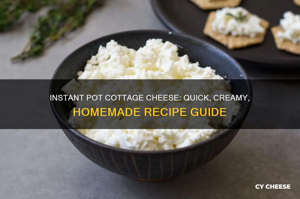 how to make cottage cheese in an instant pot