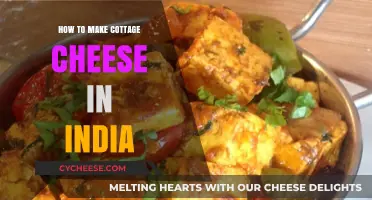 Easy Homemade Cottage Cheese Recipe: A Step-by-Step Indian Guide