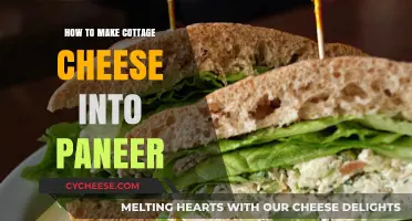 Transform Cottage Cheese into Paneer: Simple Homemade Recipe Guide