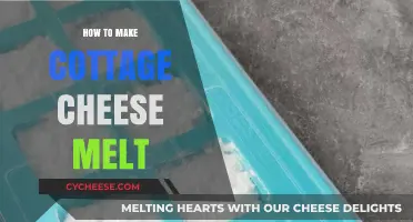 Mastering Melty Cottage Cheese: Tips for Creamy, Gooey Perfection