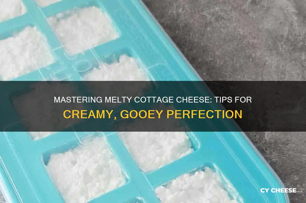 how to make cottage cheese melt