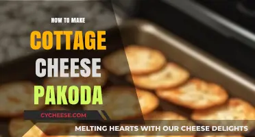 Crispy Cottage Cheese Pakoda: Easy Recipe for a Spicy Snack