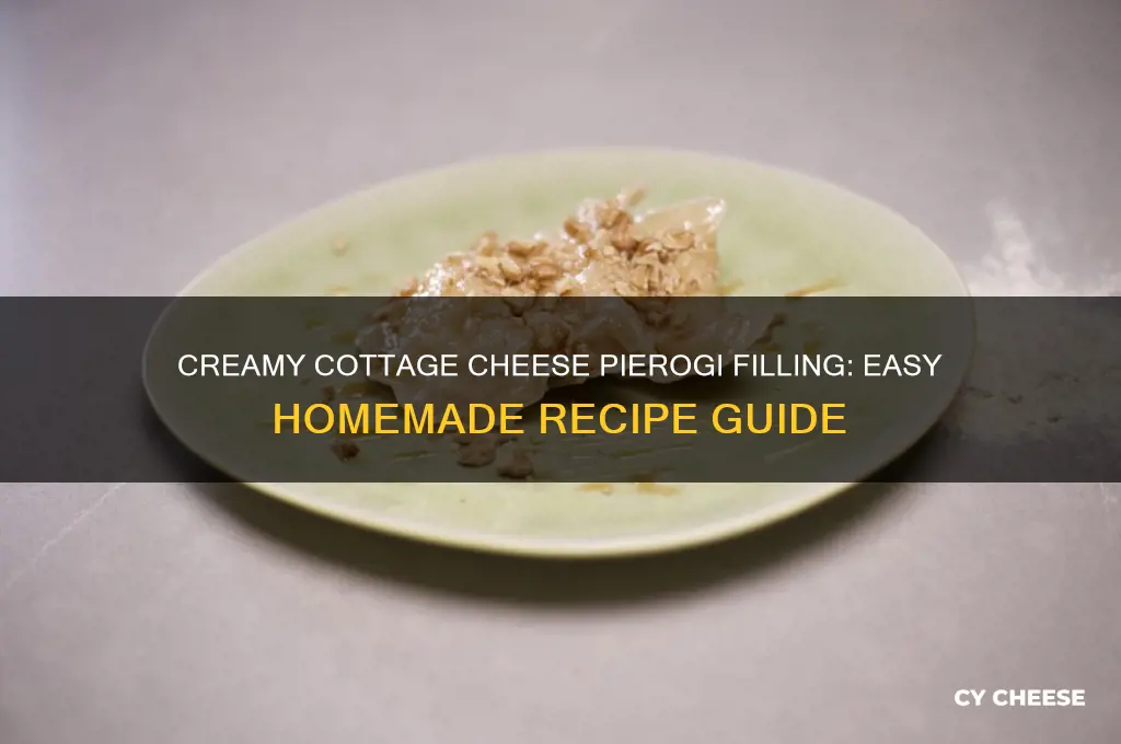 how to make cottage cheese pierogi filling