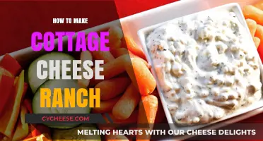 Easy Homemade Cottage Cheese Ranch Dressing Recipe Guide
