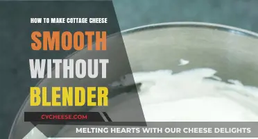 Smooth Cottage Cheese Secrets: Blender-Free Techniques for Creamy Perfection