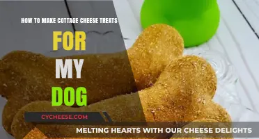 Delicious DIY Cottage Cheese Dog Treats: Simple, Healthy, and Fun to Make