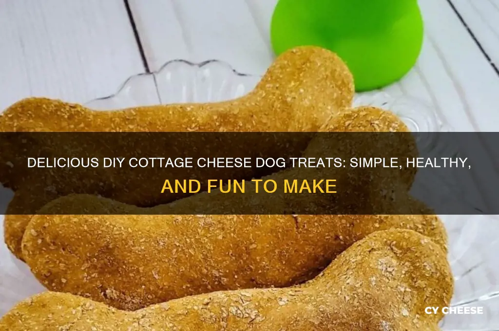 how to make cottage cheese treats for my dog