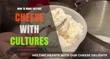 Crafting Creamy Cottage Cheese: A Cultured Homemade Recipe Guide