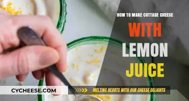 Easy Homemade Cottage Cheese Recipe Using Fresh Lemon Juice
