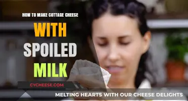 Transform Spoiled Milk into Creamy Cottage Cheese: A Simple Guide