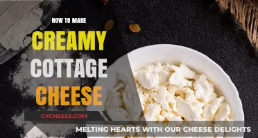 Mastering Creamy Cottage Cheese: Simple Steps for Perfect Texture