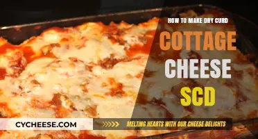 Easy SCD-Friendly Dry Curd Cottage Cheese Recipe: Homemade & Healthy