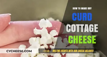 Easy Homemade Dry Curd Cottage Cheese Recipe: Step-by-Step Guide