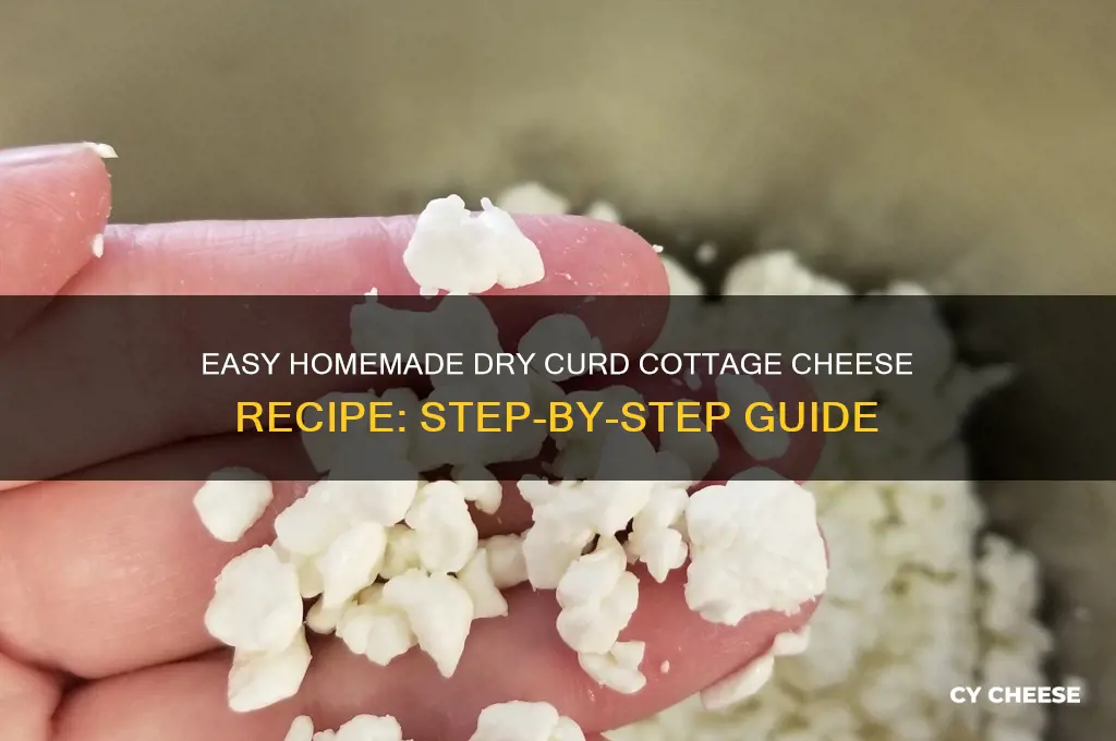 how to make dry curd cottage cheese