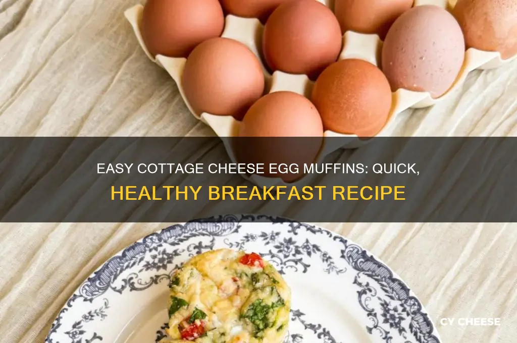 how to make egg muffins with cottage cheese
