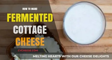 Mastering Homemade Fermented Cottage Cheese: Simple Steps for Creamy Delight