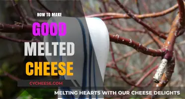 The Art of Melting Cheese: A Guide to Perfection