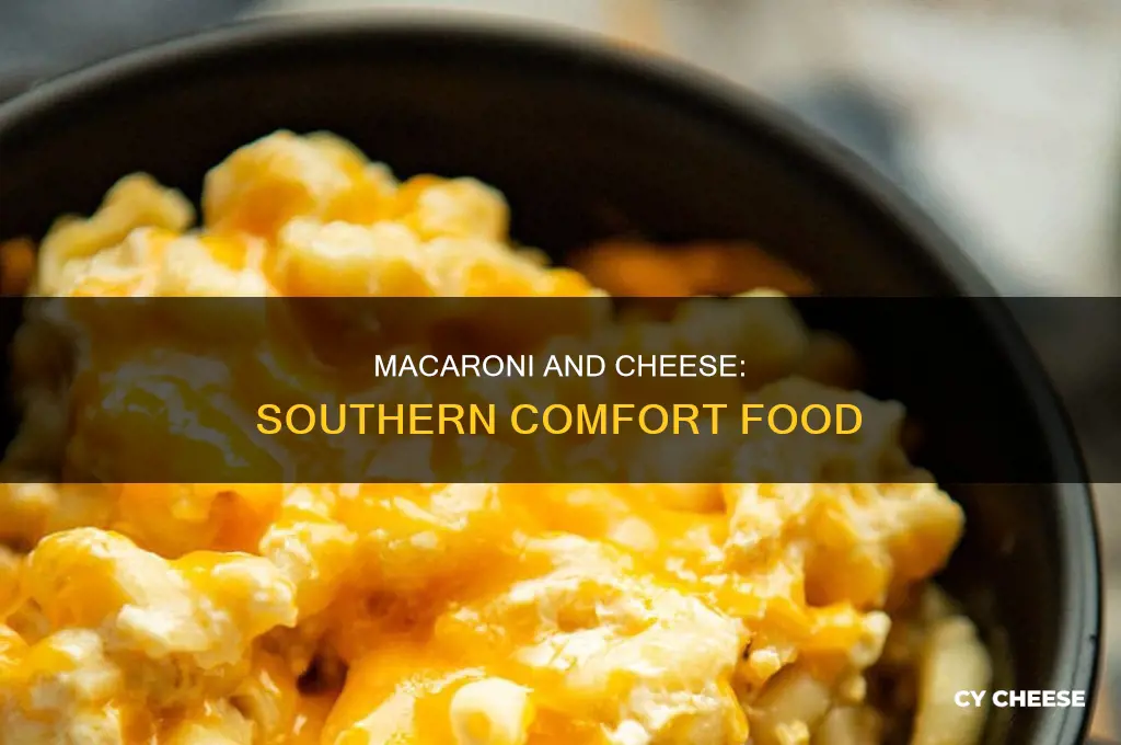 how to make good southern macaroni and cheese