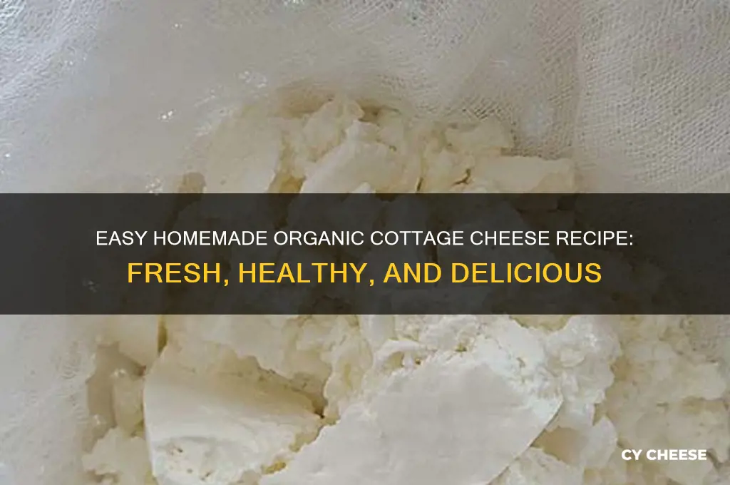 how to make homemade organic cottage cheese