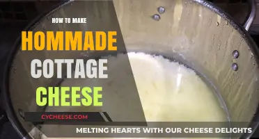 Easy Homemade Cottage Cheese Recipe: Simple Steps for Creamy Results