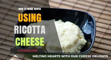 Ricotta Cheese Khoya: A Quick, Easy Guide