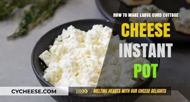 Instant Pot Large Curd Cottage Cheese: Quick Homemade Recipe Guide