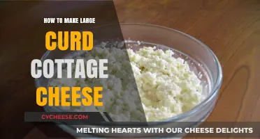Mastering Homemade Large Curd Cottage Cheese: Simple Steps for Creamy Perfection