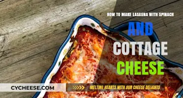 Spinach & Cottage Cheese Lasagna: A Healthy, Creamy Layered Delight