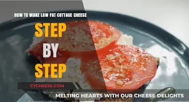 Easy Homemade Low-Fat Cottage Cheese Recipe: Step-by-Step Guide