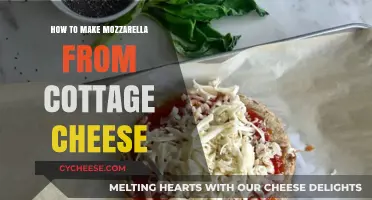 Easy Homemade Mozzarella: Transform Cottage Cheese into Creamy Cheese