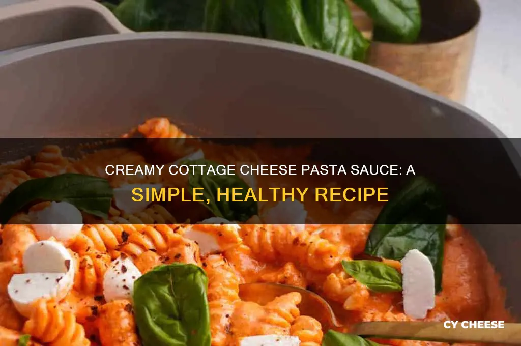 how to make pasta sauce with cottage cheese