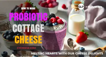 Easy Homemade Probiotic Cottage Cheese Recipe for Gut Health