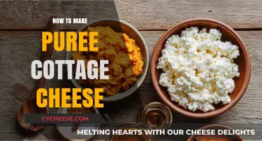 Easy Homemade Pureed Cottage Cheese Recipe: Smooth and Creamy Delight