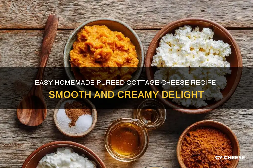 how to make puree cottage cheese
