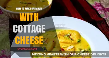 Creamy Cottage Cheese Rasmalai: A Step-by-Step Homemade Dessert Guide