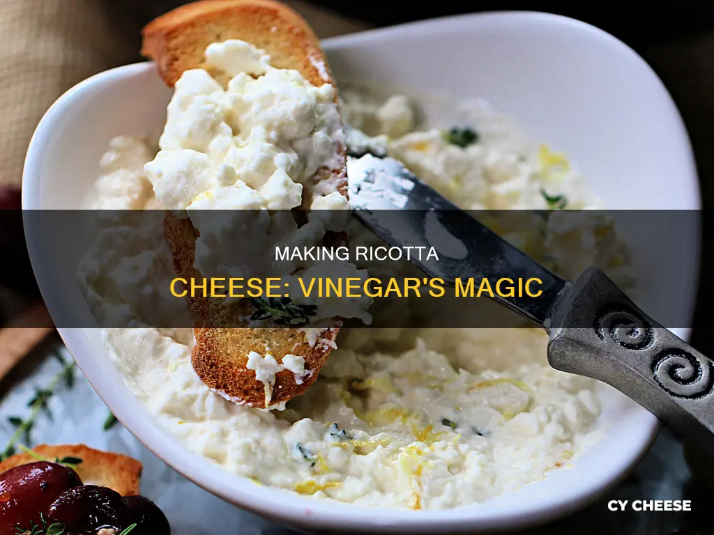 how to make ricotta cheese using vinegar