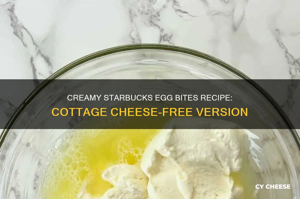 how to make starbucks egg bites without cottage cheese