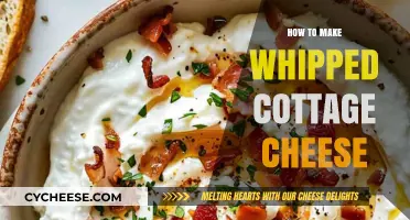 Creamy & Easy: Mastering Homemade Whipped Cottage Cheese in Minutes
