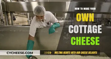 Easy Homemade Cottage Cheese Recipe: Simple Steps for Creamy Results