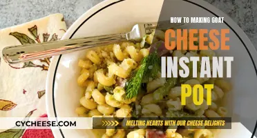 Goat Cheese Delight: Instant Pot Recipe for Creamy Cheesy Goodness