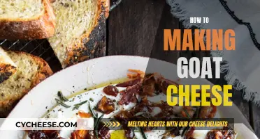 Master the Art of Goat Cheese: A Step-by-Step Guide