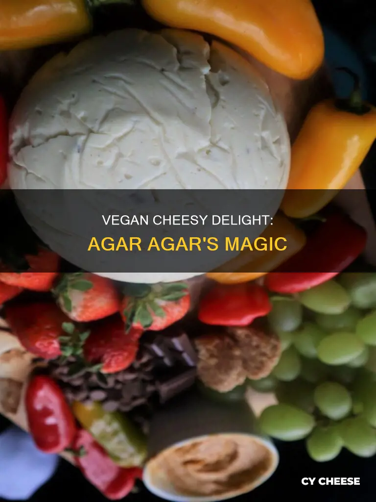 how to making vegan cheese using agar agar