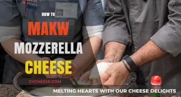 Mastering Homemade Mozzarella: A Step-by-Step Cheese-Making Guide