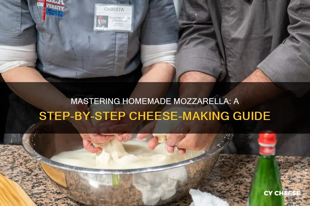 how to makw mozzerella cheese
