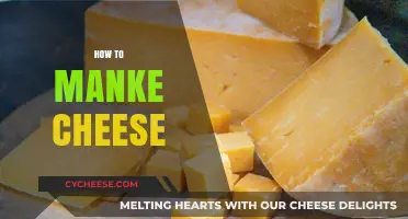 Master the Art of Homemade Cheese Making: A Step-by-Step Guide