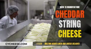 Mastering Cheddar String Cheese: A Step-by-Step Guide to Manufacturing