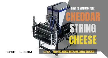 Crafting Cheddar String Cheese: A Step-by-Step Guide