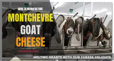 Mastering the Art of Montchevre: A Guide to Goat Cheese Production