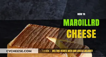 Mastering Maroillrd Cheese: Simple Steps for Perfect Homemade Results