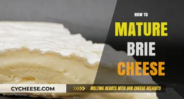Mastering Brie: A Guide to Perfectly Maturing Creamy Cheese at Home
